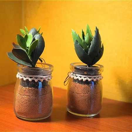 Donau 3* רימיני